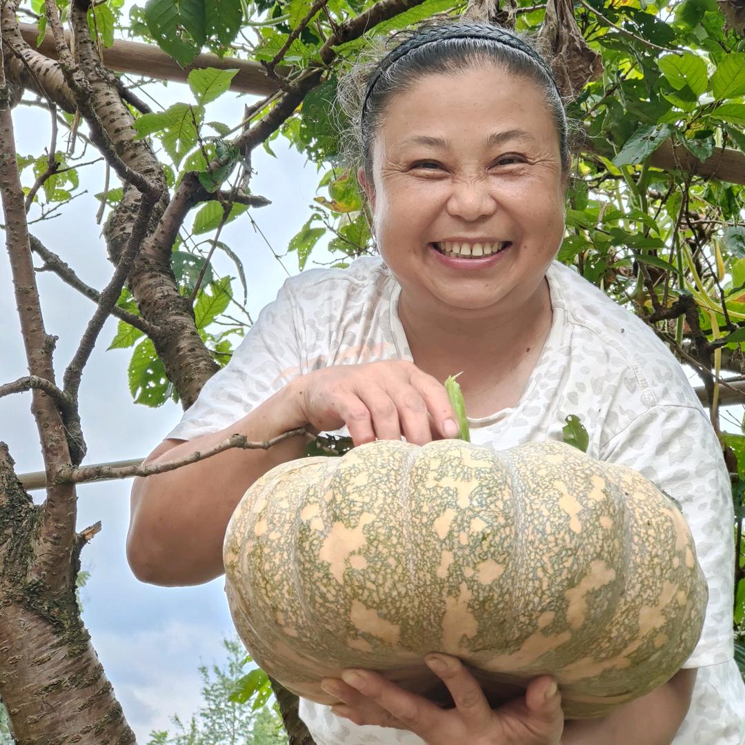 杨孃孃