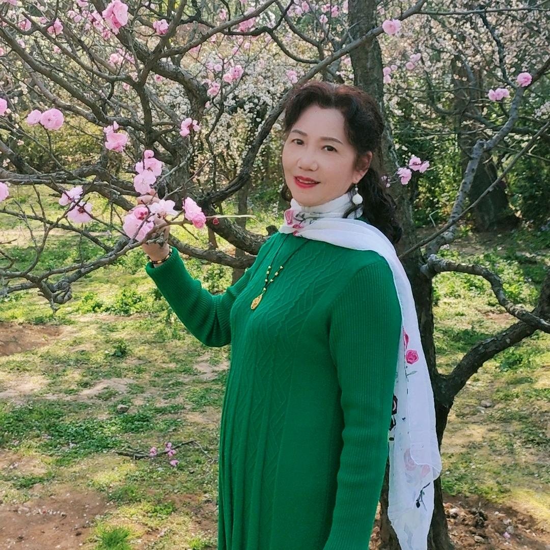 玉兰花(不私聊)