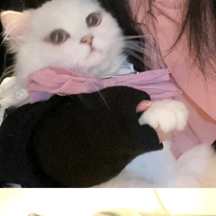 笑到最后才是我