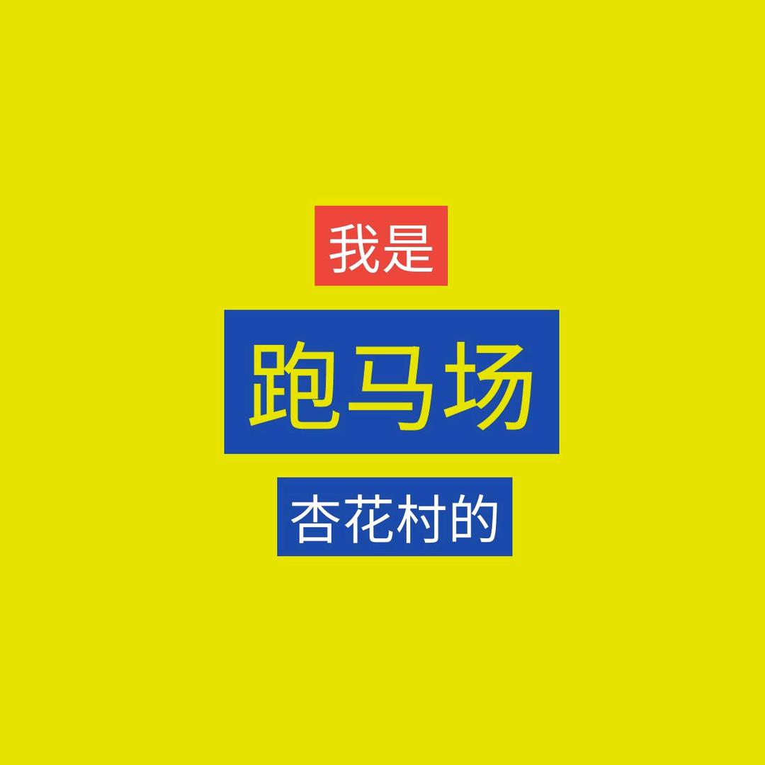 杏花村的悬空栈道