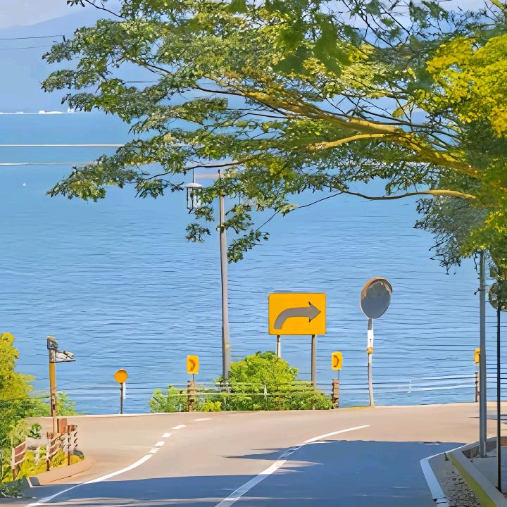 随风起头像
