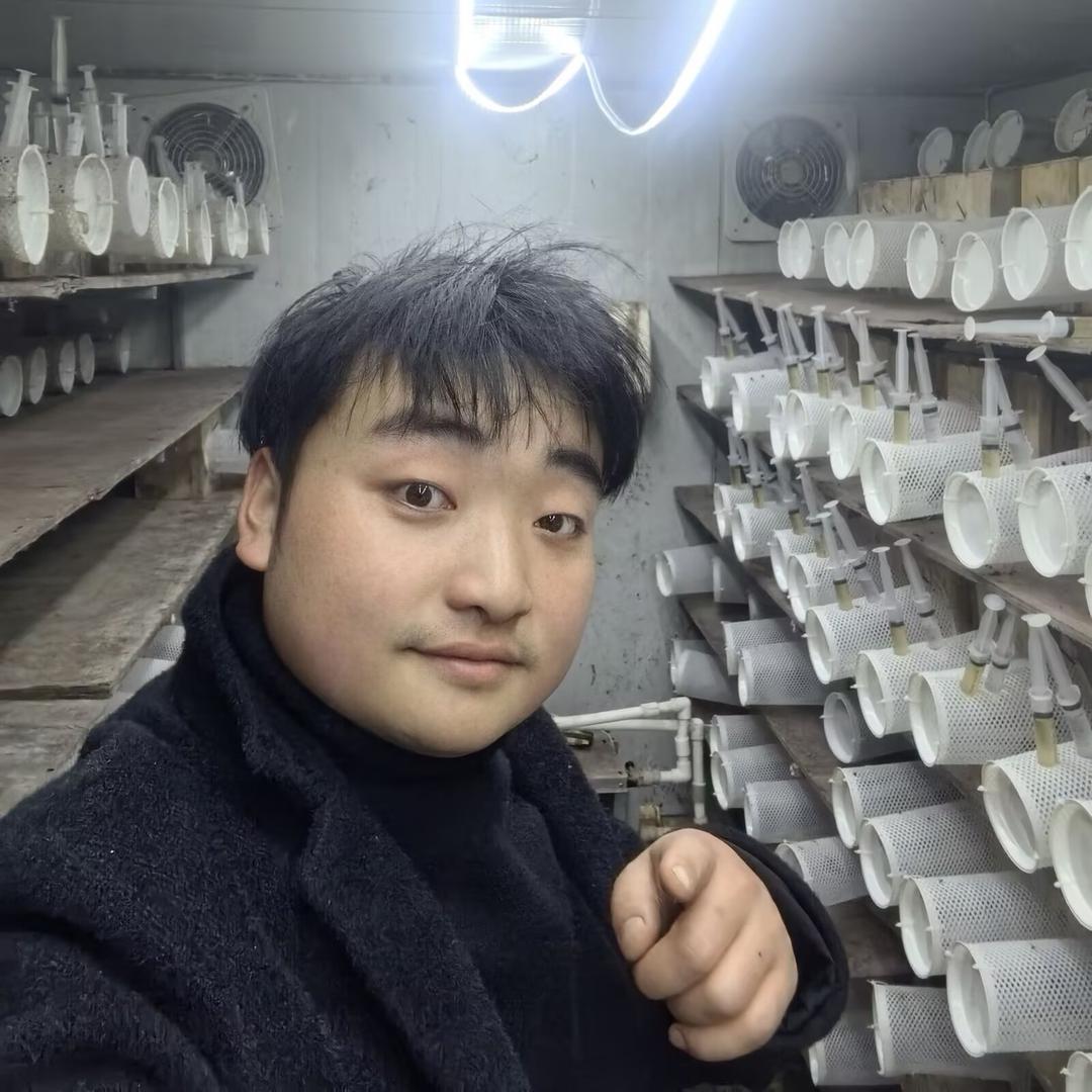 洪伟 巴