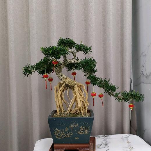 标