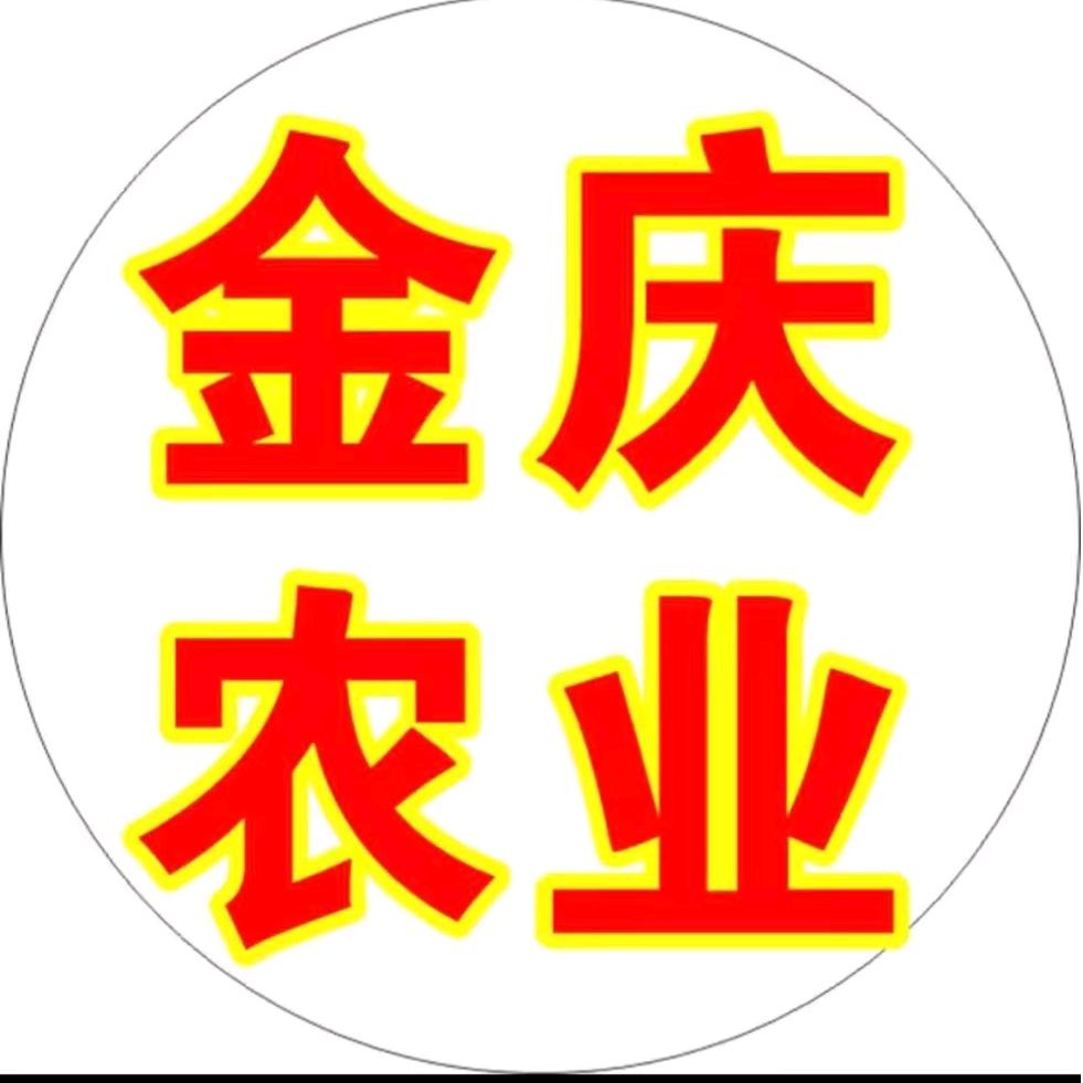 金庆种业刚哥