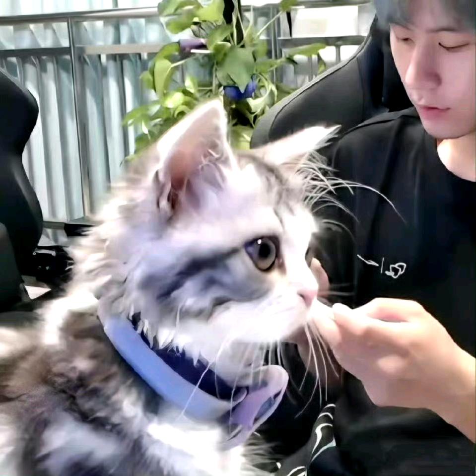 交给我你就操心吧