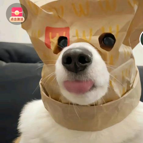 芝士糖