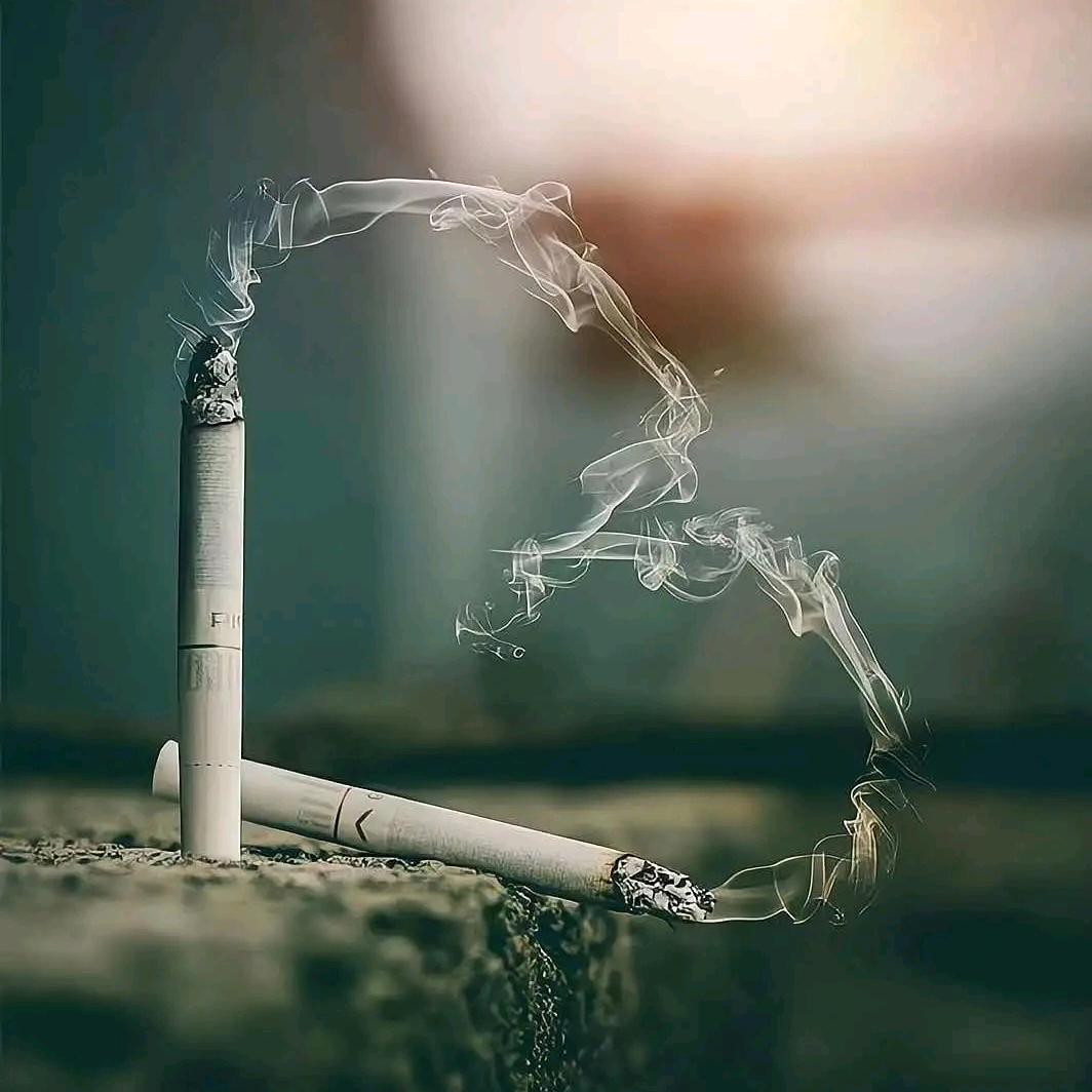 风未央止若情