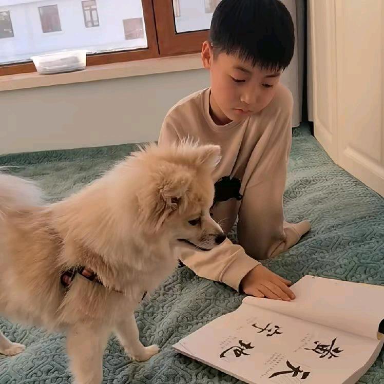 大智