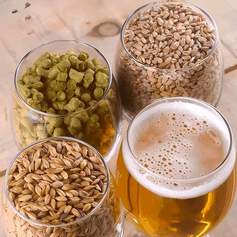 欧德玛精酿啤酒1