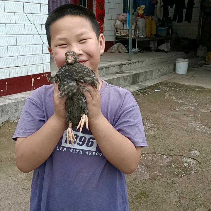 农村娃