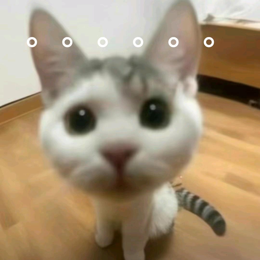 薯条鸽鸽（超自然行动组）