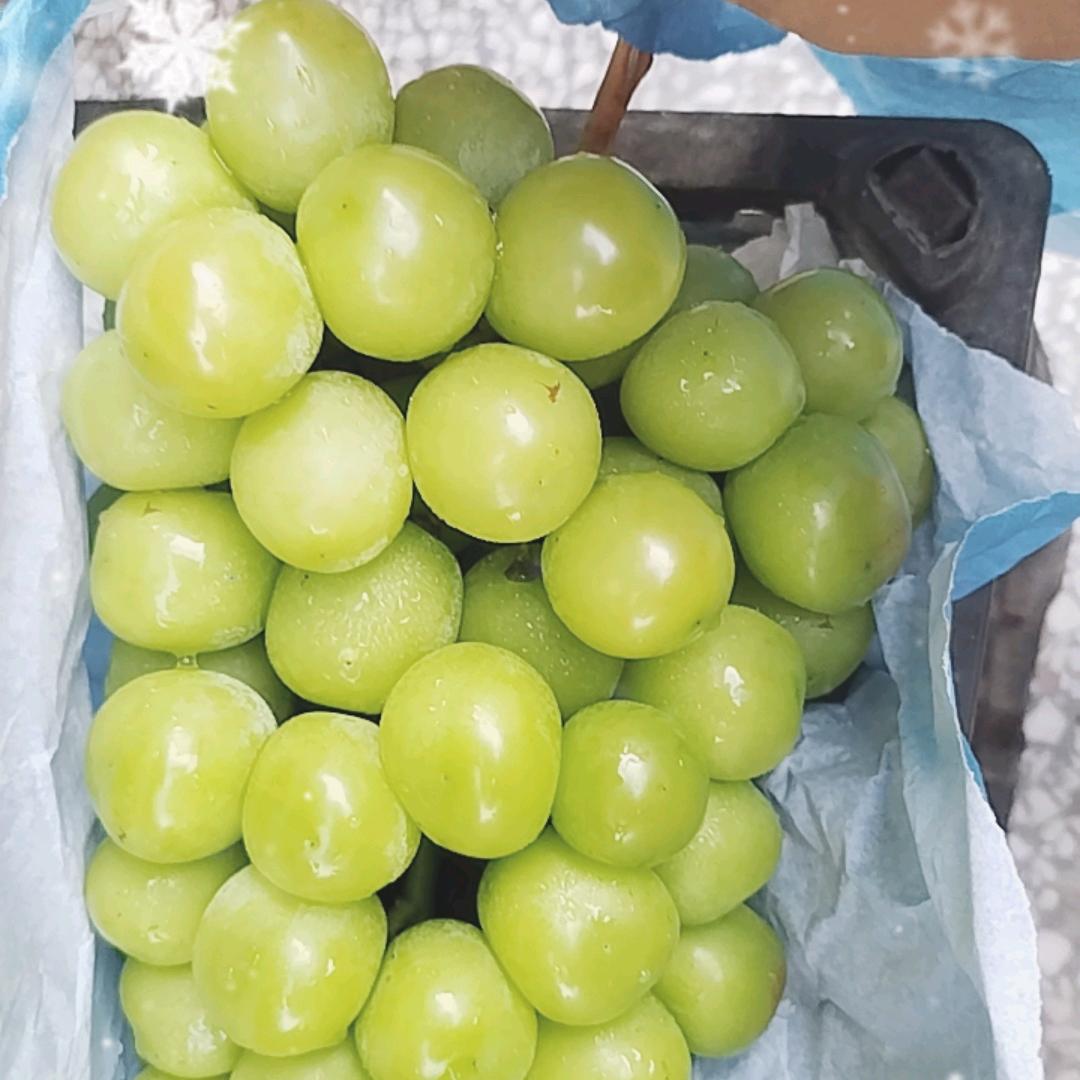 果蔬搬运工
