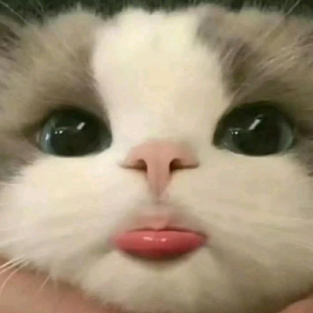 恐龙蛋