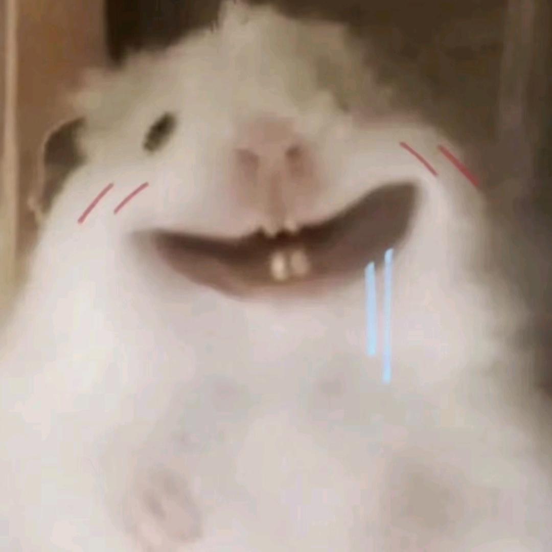 宠物优选水族馆