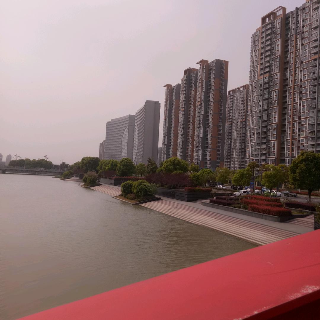黑虎