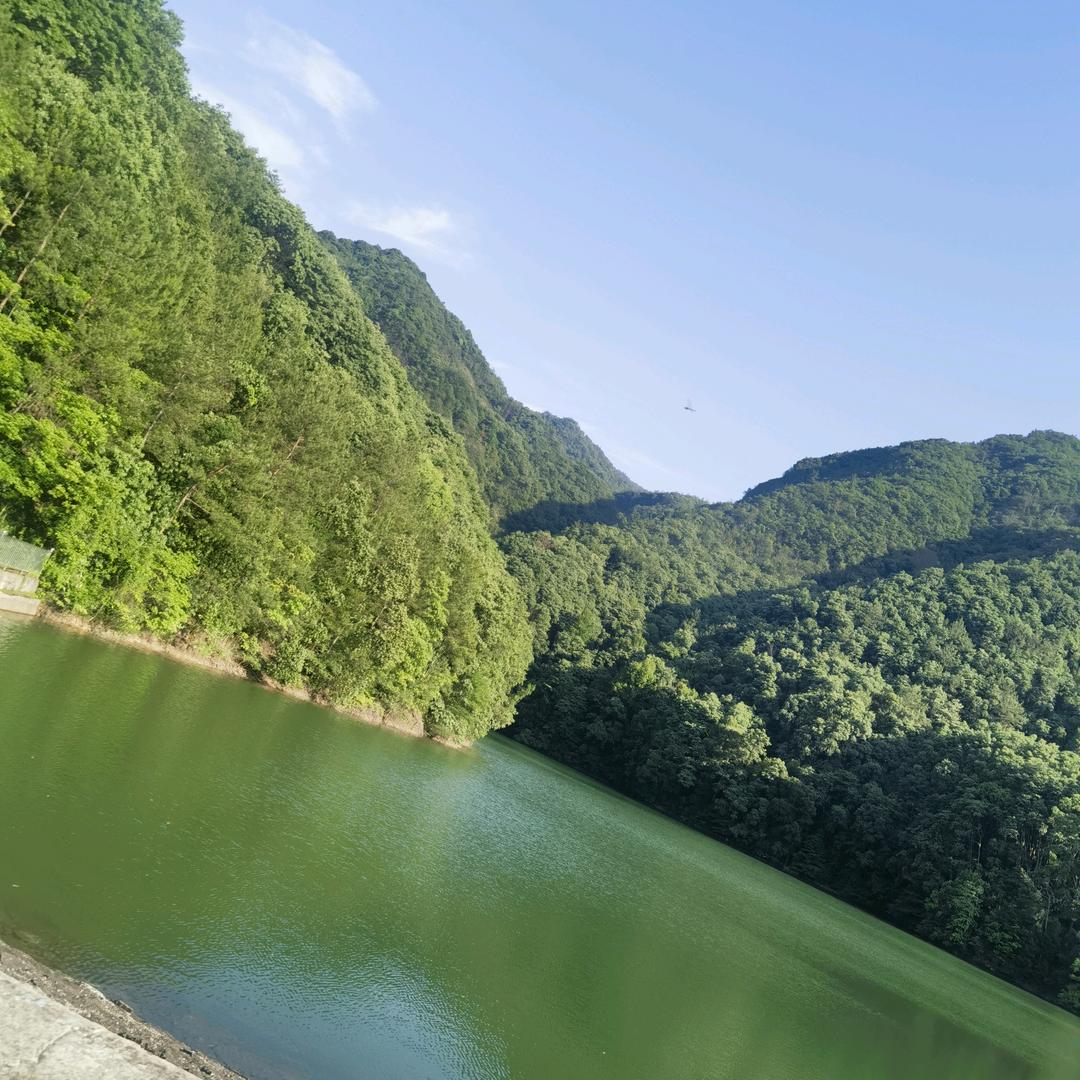 .心静如水