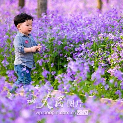 大圆脸姐姐来了！