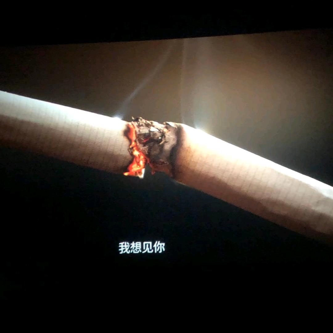 踏梅摘露