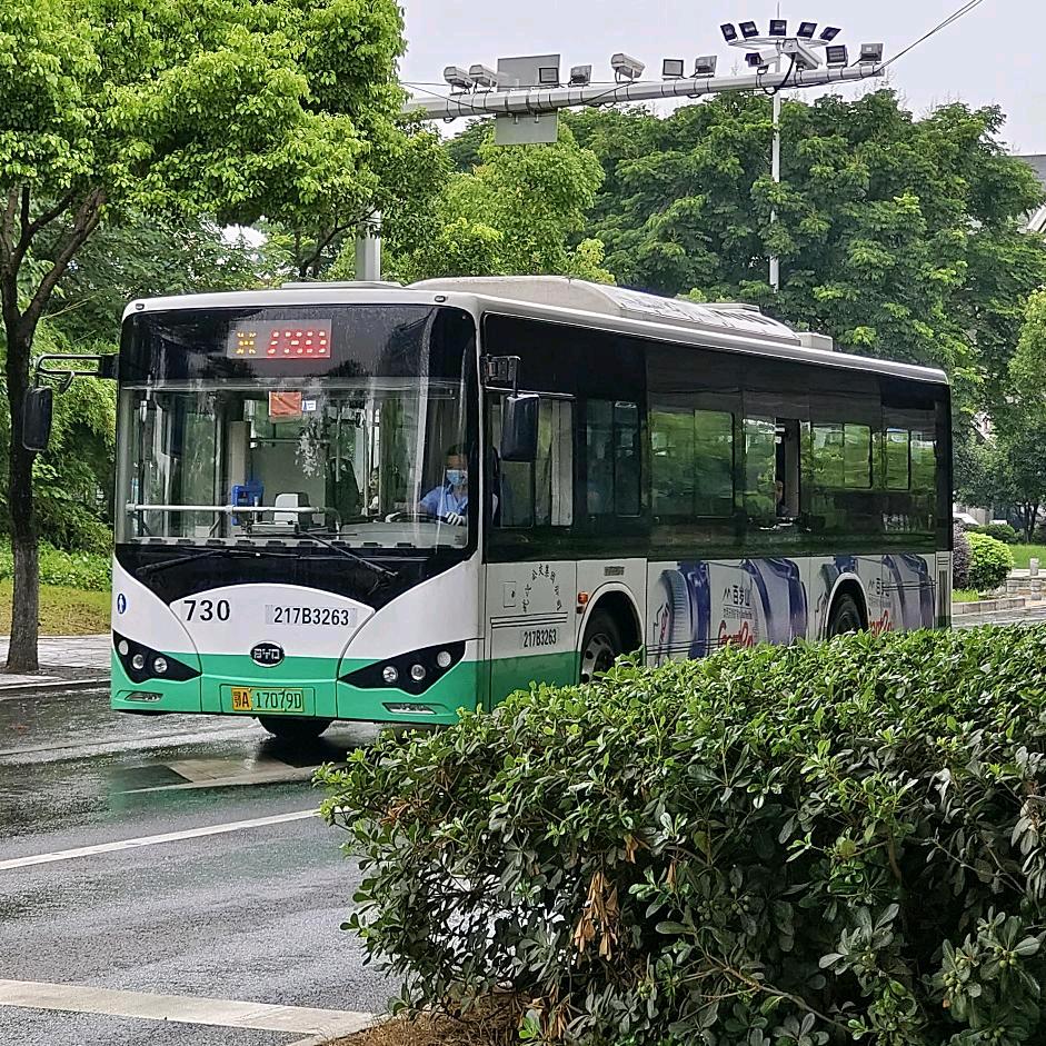 公交观察