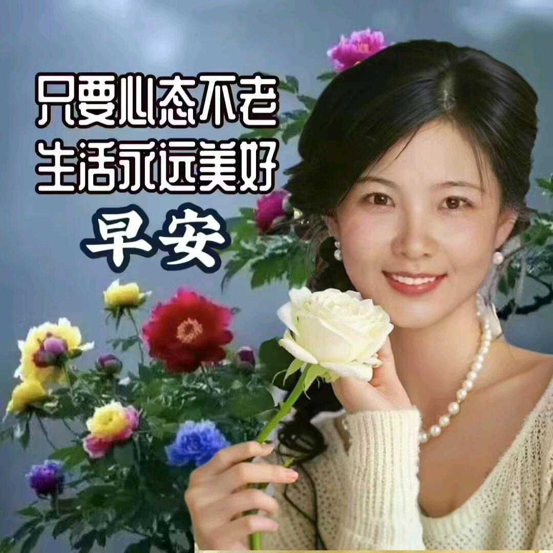 向日葵🌻