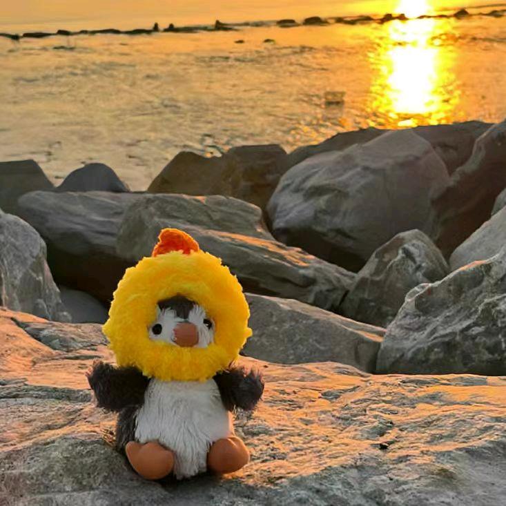 小不点儿。