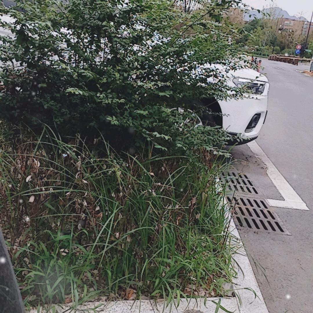 地锅