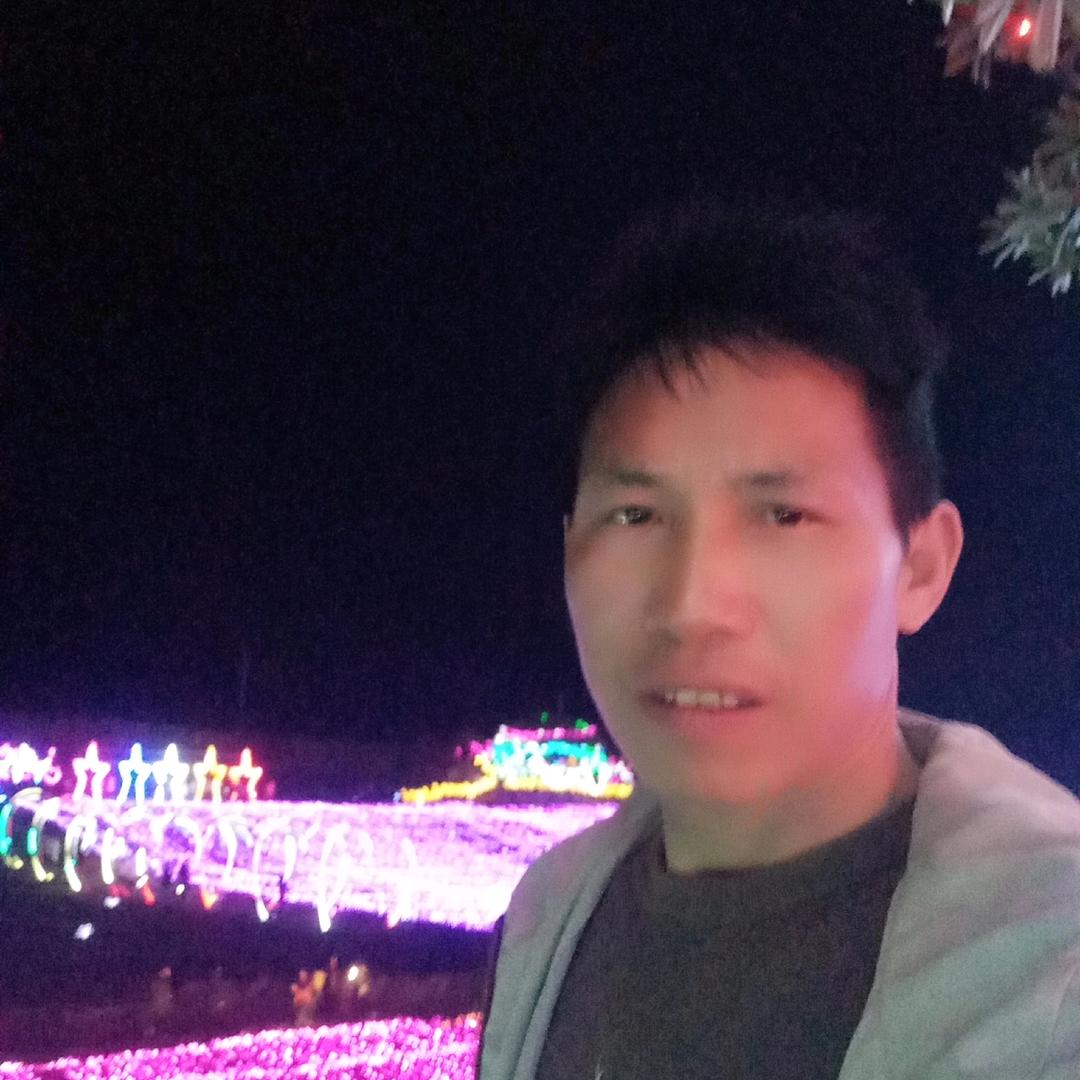 想想的未来李飞