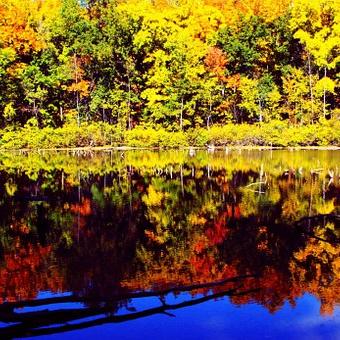 ♛   仟種煭酒  ♛