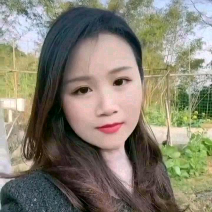 🌹雨中漫步🌹