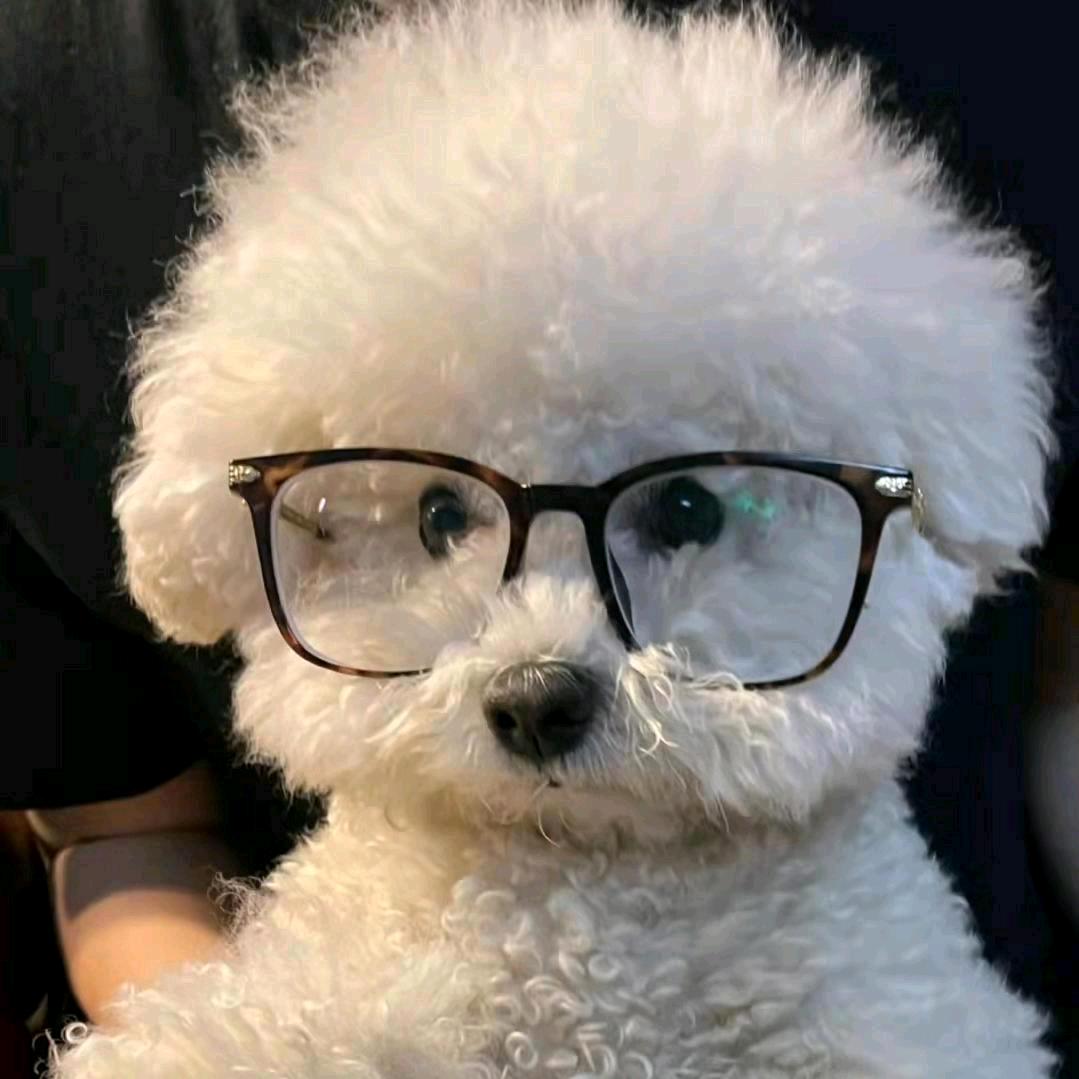 小狗侠本侠