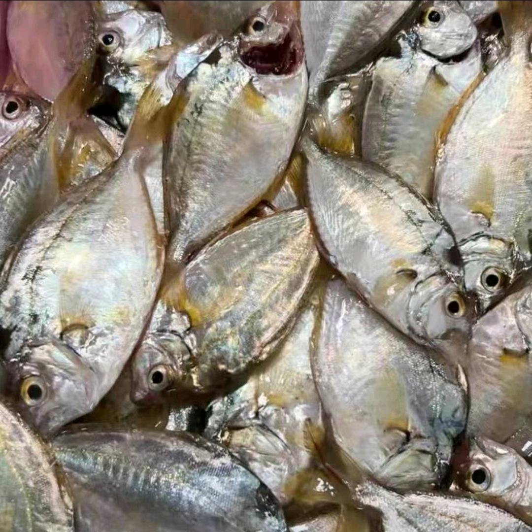 谢谢关注