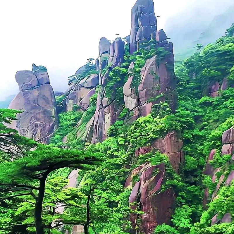 小.太.阳