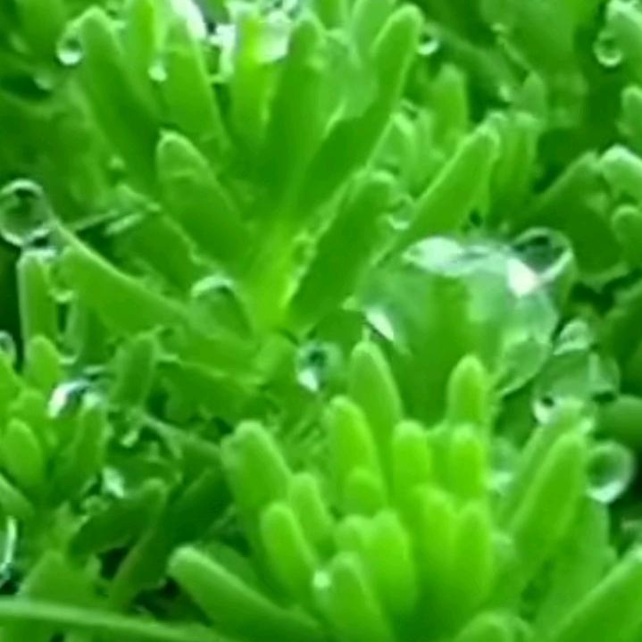 唯独