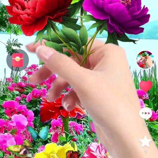 🌹手挽清风🌹