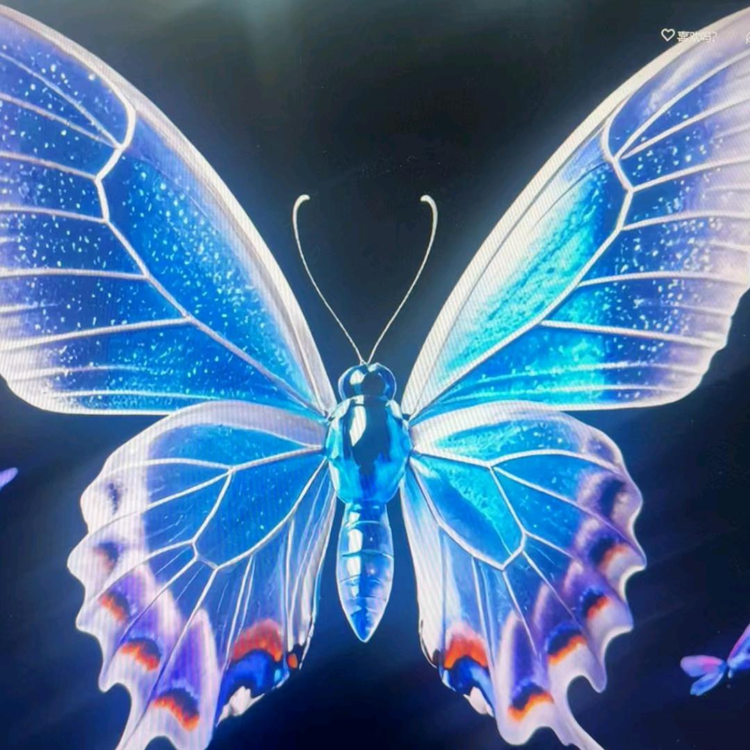 ꧁꫞꯭溏心何包蛋