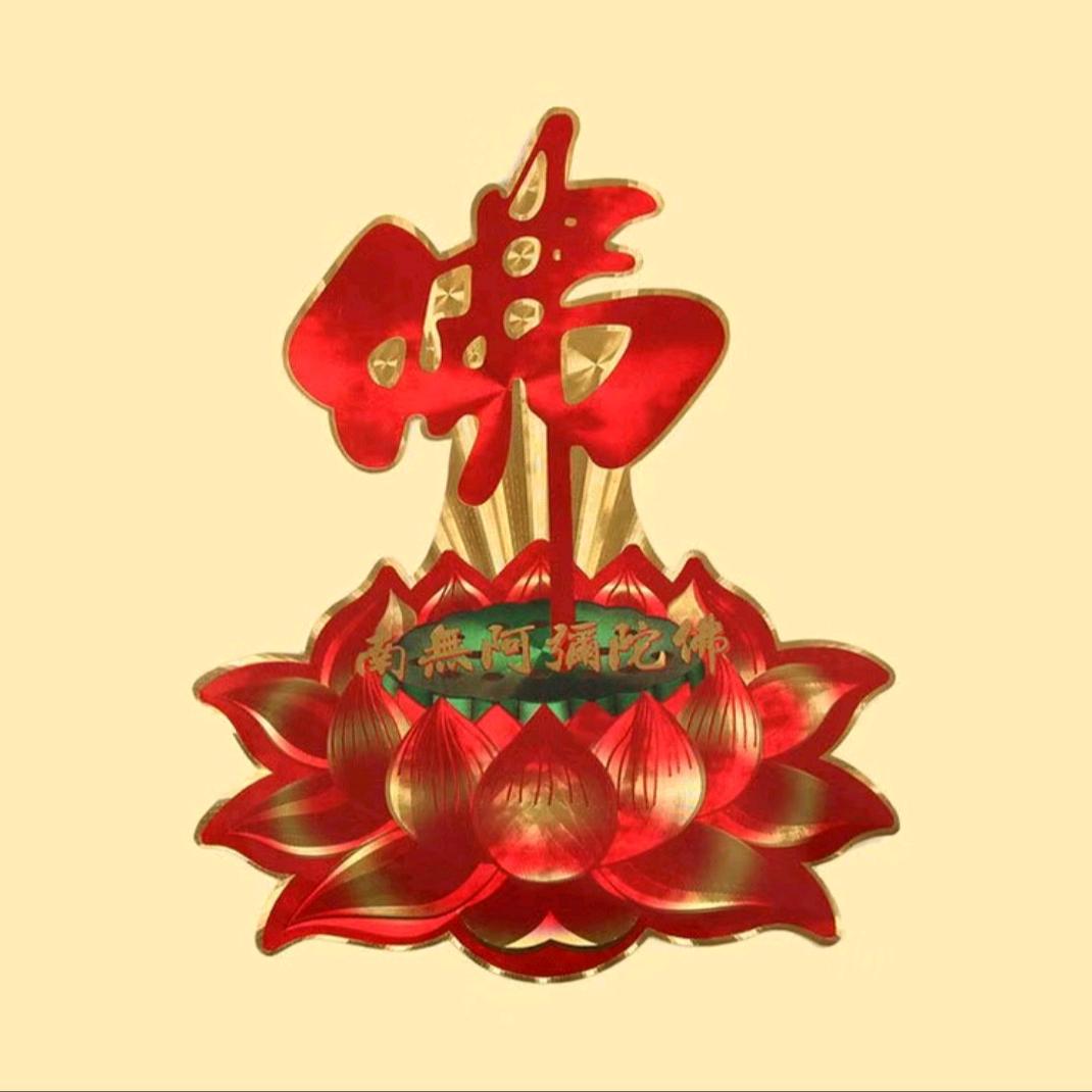 薛红红