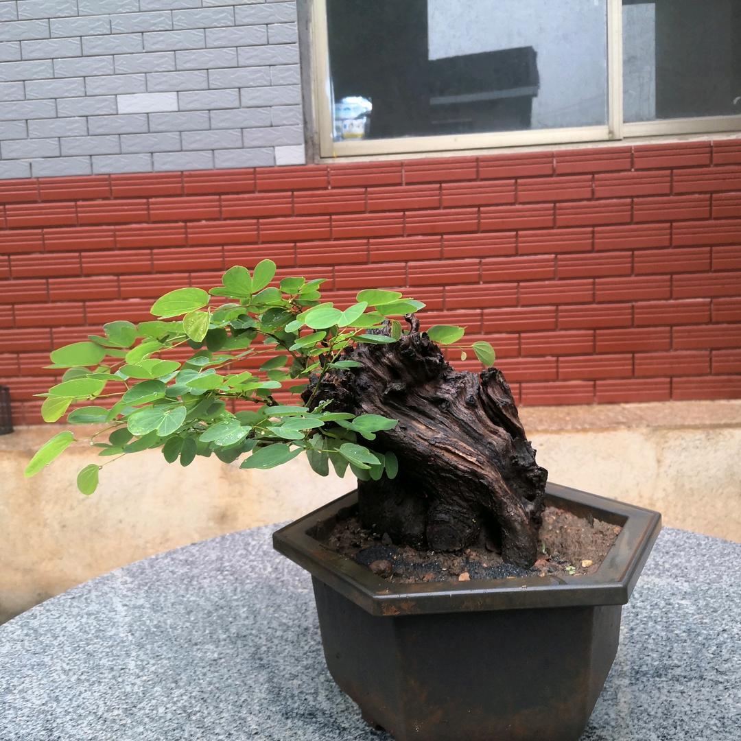 玖伍柒捌