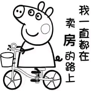 丫丫看房