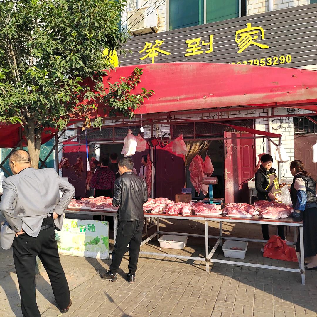 洛阳市洛龙区笨到家猪肉店