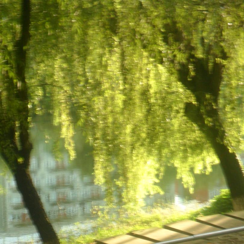 今日宜开心