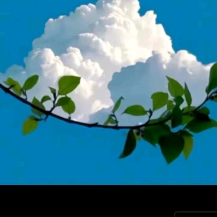 开心橱窗