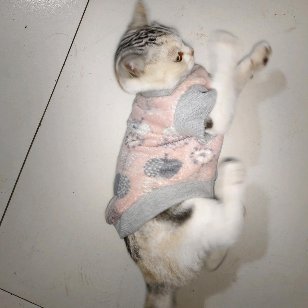 撒网练腹肌