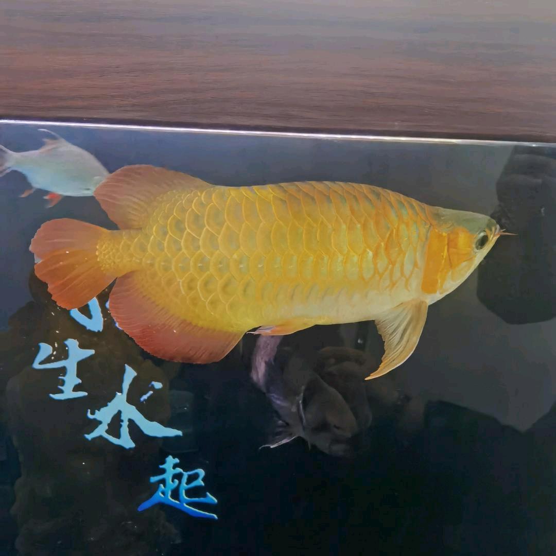 时尚休闲女装