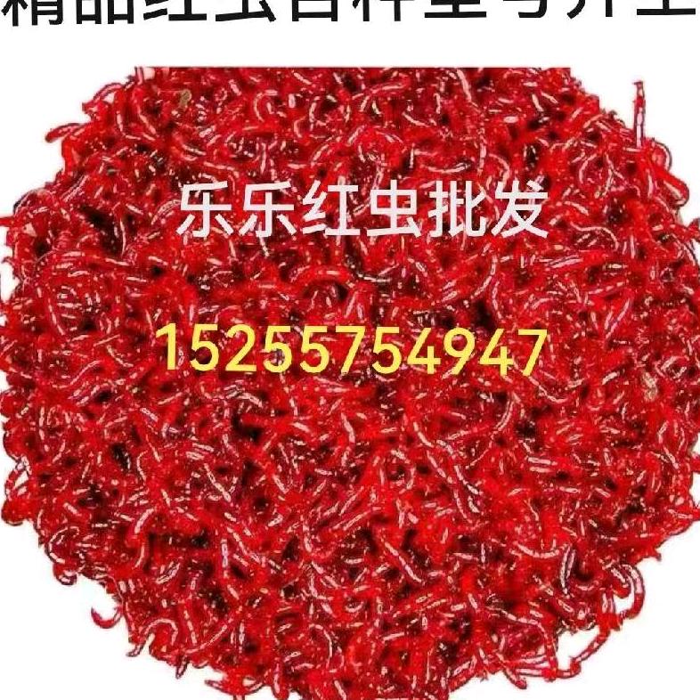 泗县大周渔具店