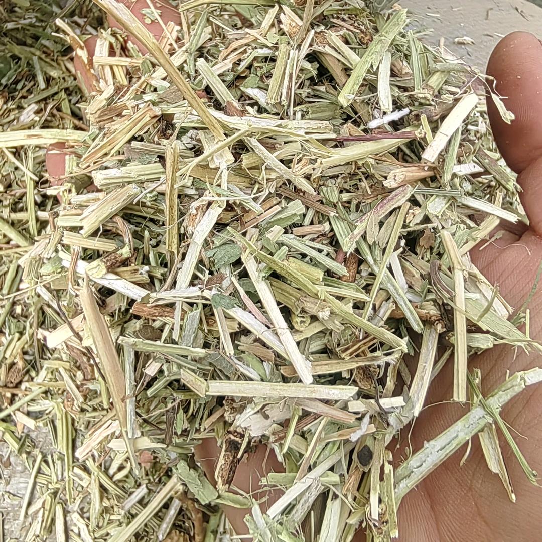 优质牛羊花生壤草料