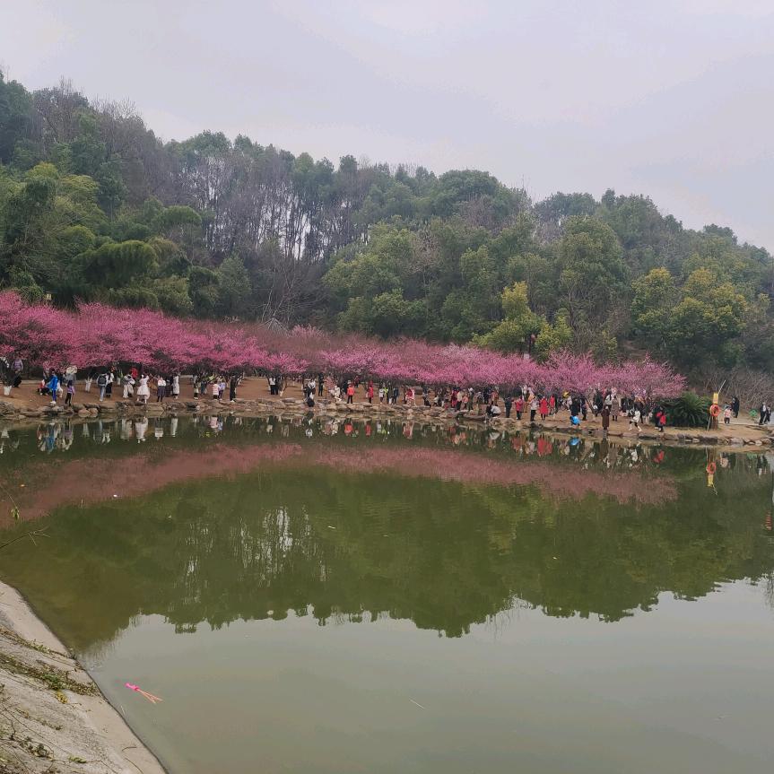 万紫千红
