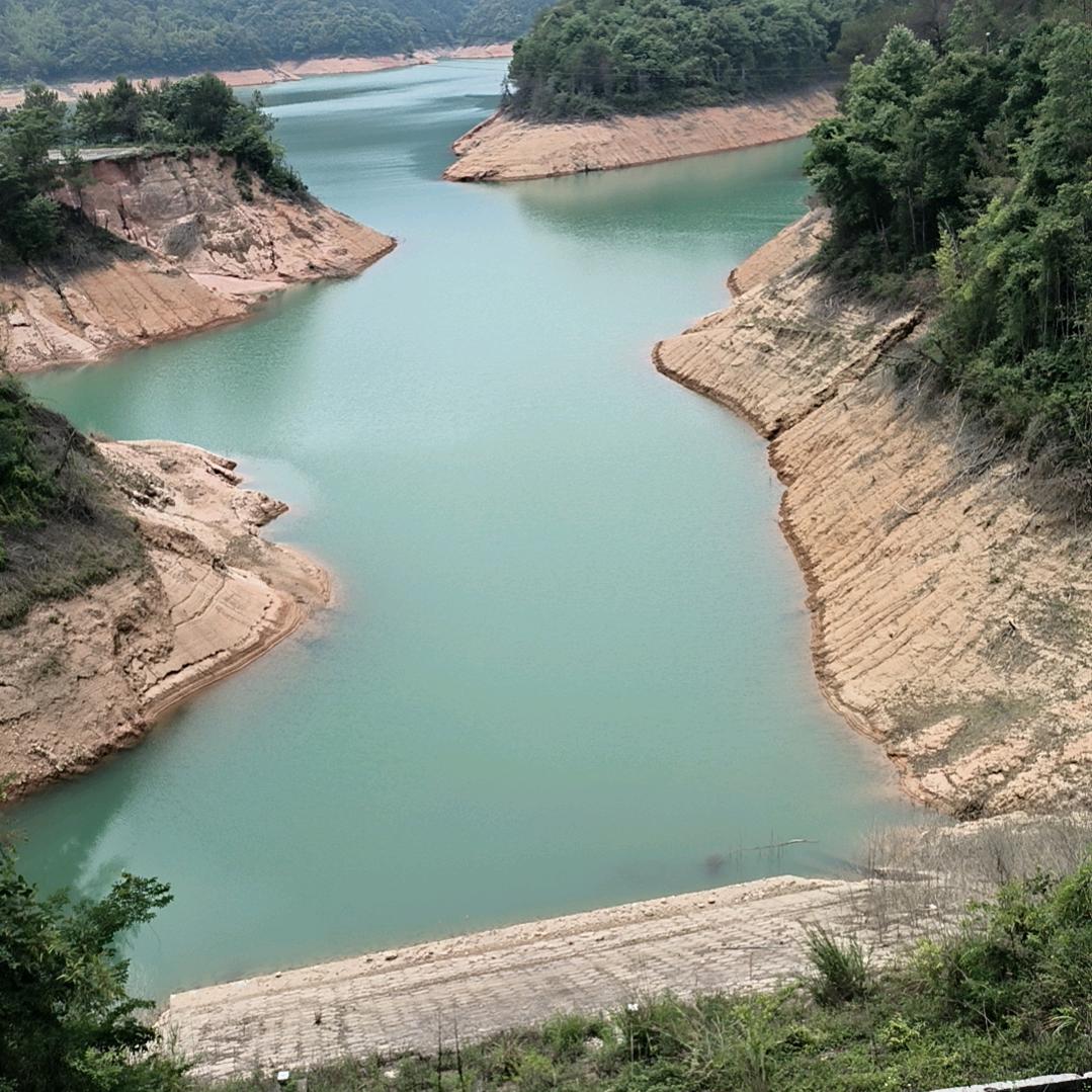 小任  挑战500窝鸡枞