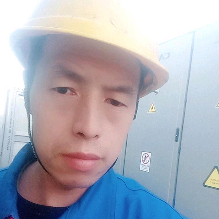 中集小蛋