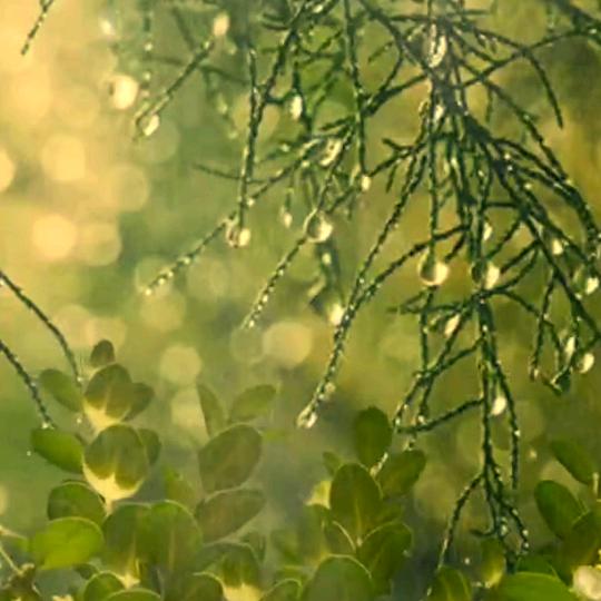 女汉子