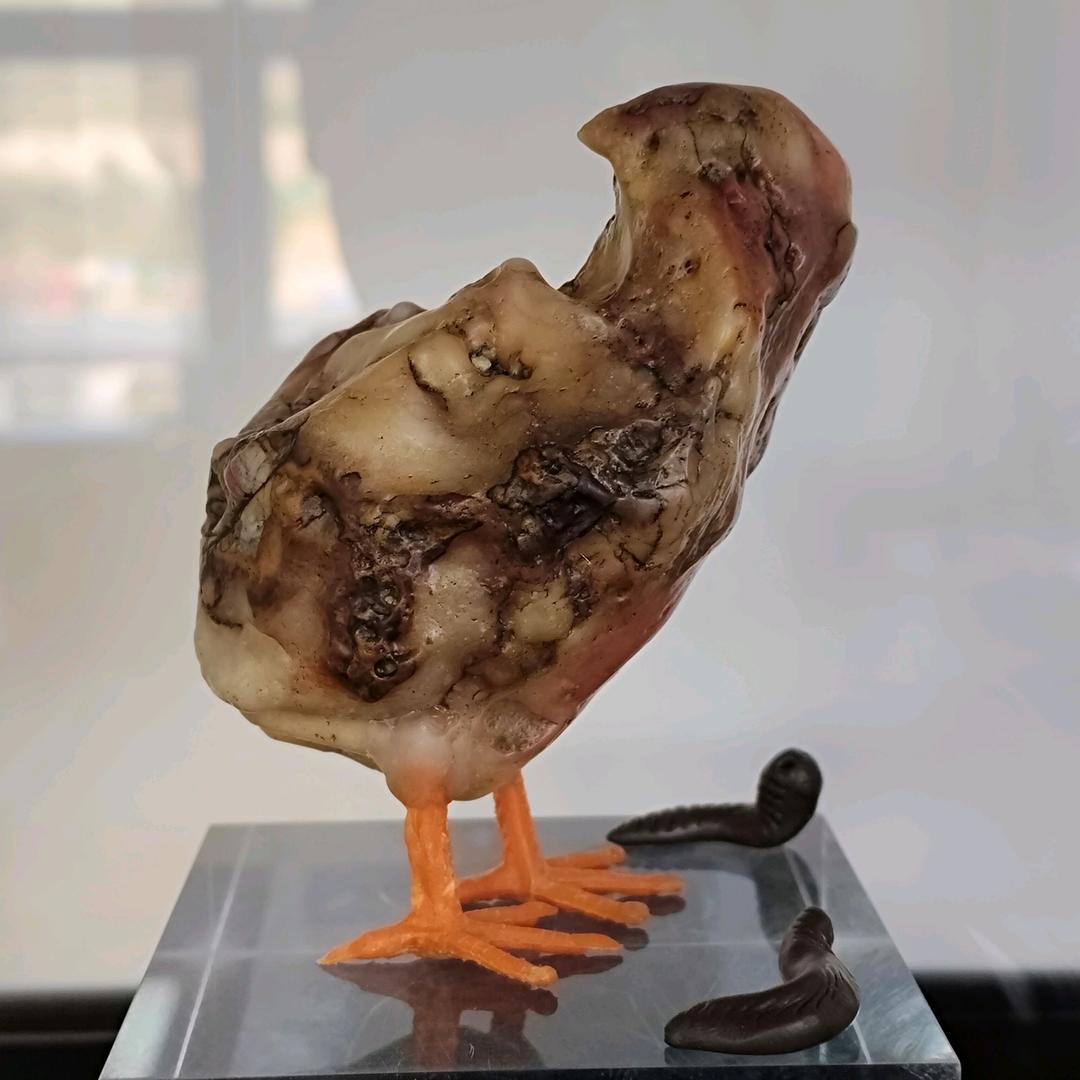 兰州鸿兴包装